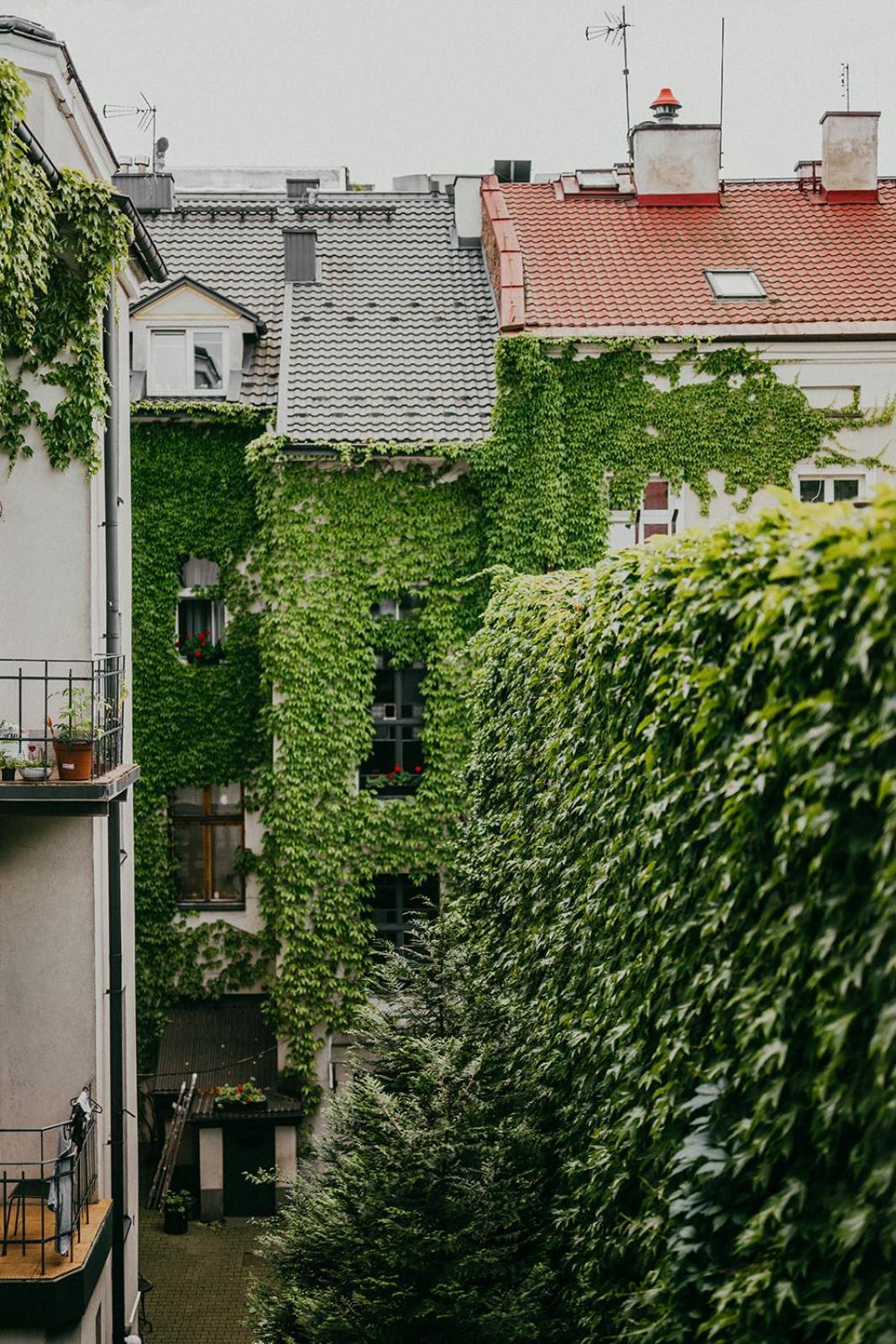 Antique Apartments Old Town Krakow Luaran gambar
